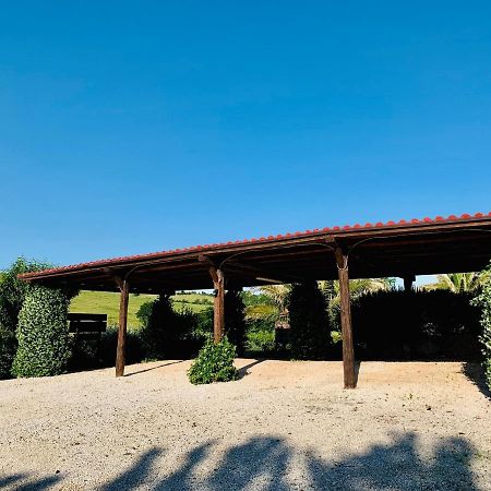8380 Agriturismo L'Oleandro 蒙特马拉诺 外观 照片