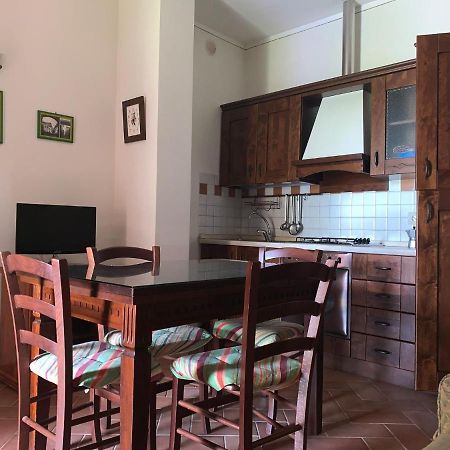 8380 Agriturismo L'Oleandro 蒙特马拉诺 外观 照片