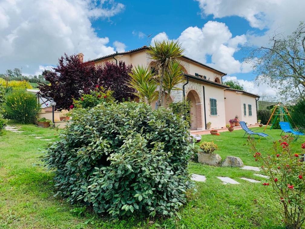 8380 Agriturismo L'Oleandro 蒙特马拉诺 外观 照片