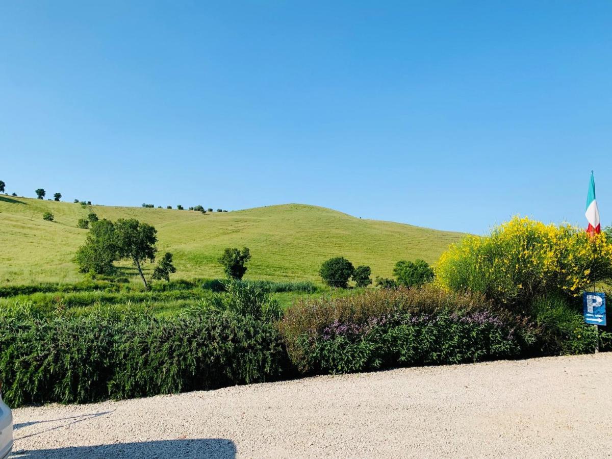 8380 Agriturismo L'Oleandro 蒙特马拉诺 外观 照片