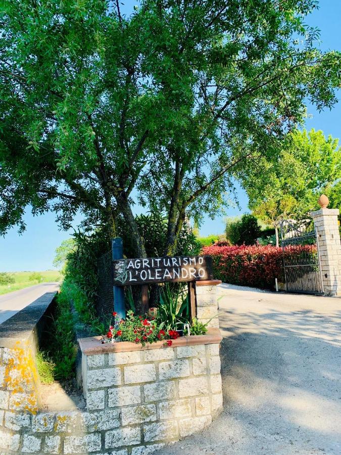 8380 Agriturismo L'Oleandro 蒙特马拉诺 外观 照片