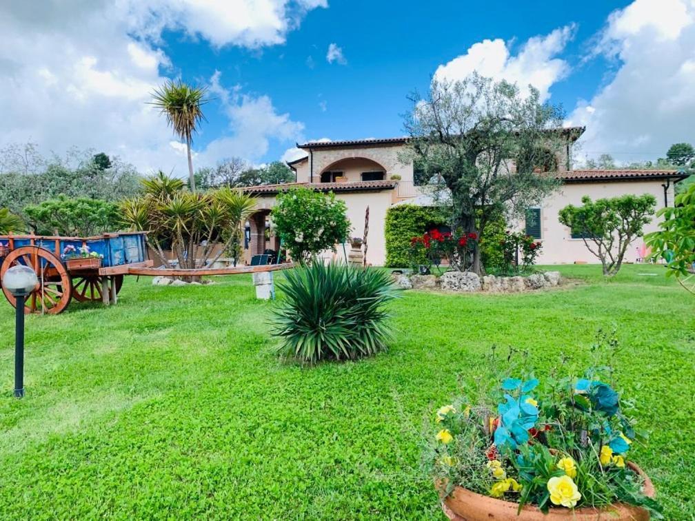 8380 Agriturismo L'Oleandro 蒙特马拉诺 外观 照片