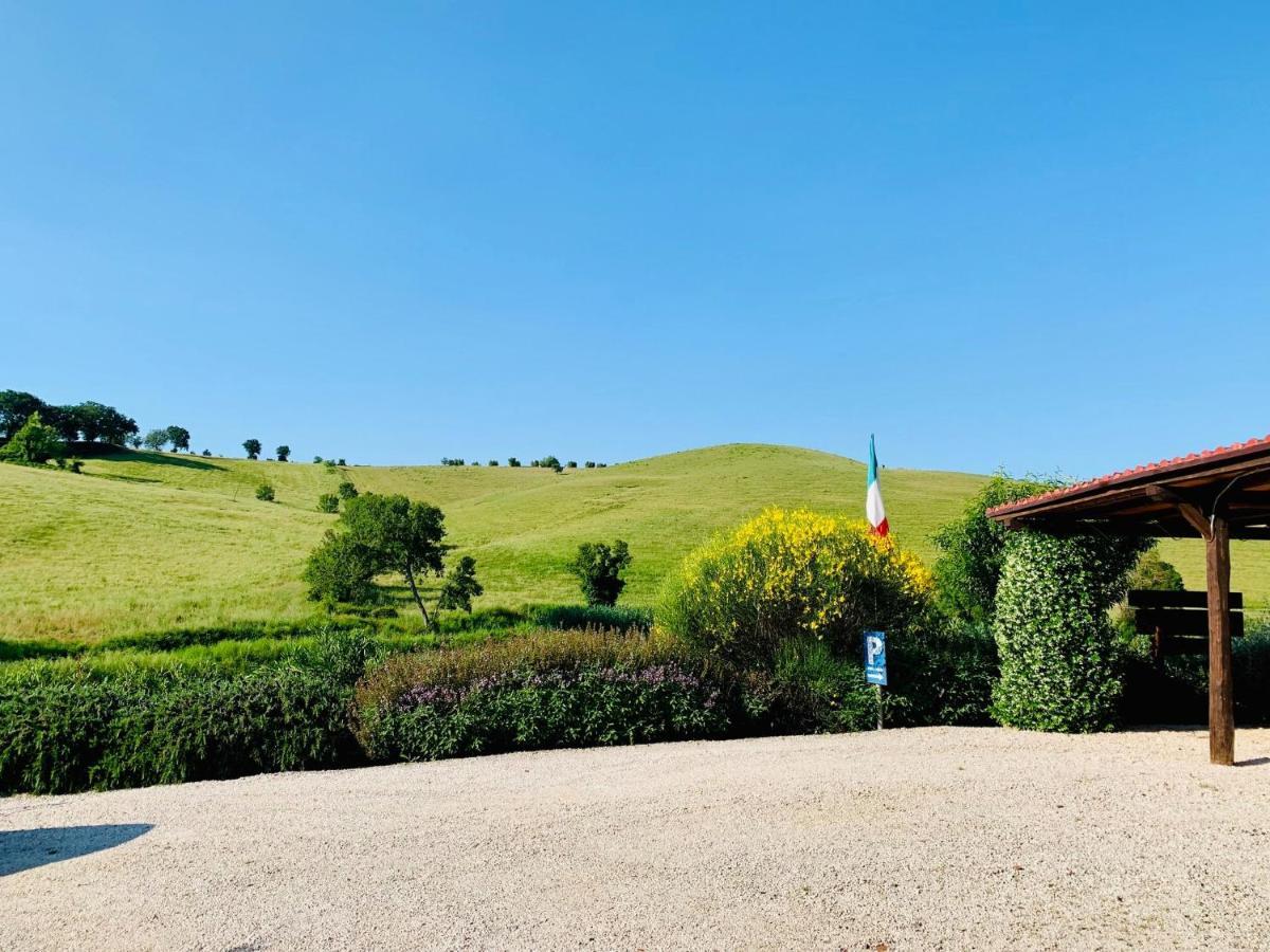 8380 Agriturismo L'Oleandro 蒙特马拉诺 外观 照片