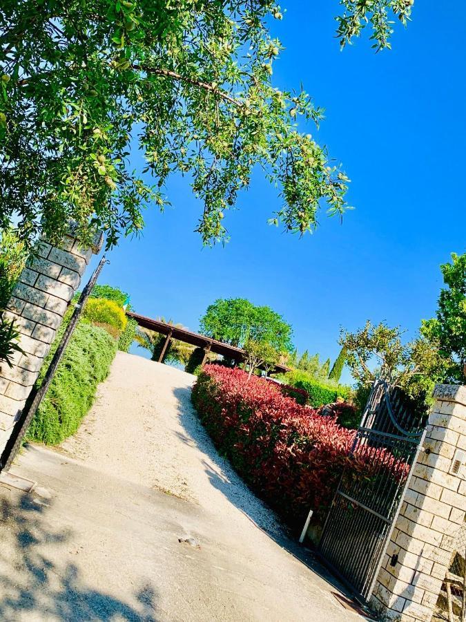 8380 Agriturismo L'Oleandro 蒙特马拉诺 外观 照片
